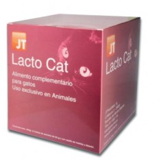 Lacto Cat gatitos