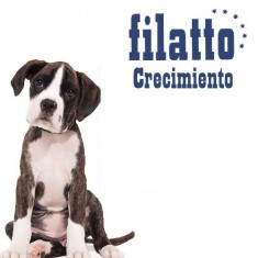 Pienso para perros Filatto Crecimiento