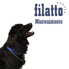 Pienso perros Filatto mantenimiento