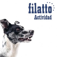 Pienso de perros Filatto Actividad