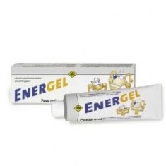 Energel Pasta Oral Multivitamínica