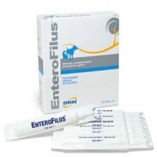 Enterofilus Mejora de la salud gastrointestinal