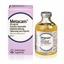 Antiinflamatorio inyectable Metacam