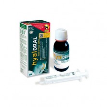 Hyaloral gel oral 50 ml