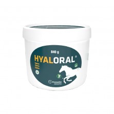Hyaloral Equino 840 g