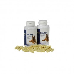 Colaid salud gastrointestinal