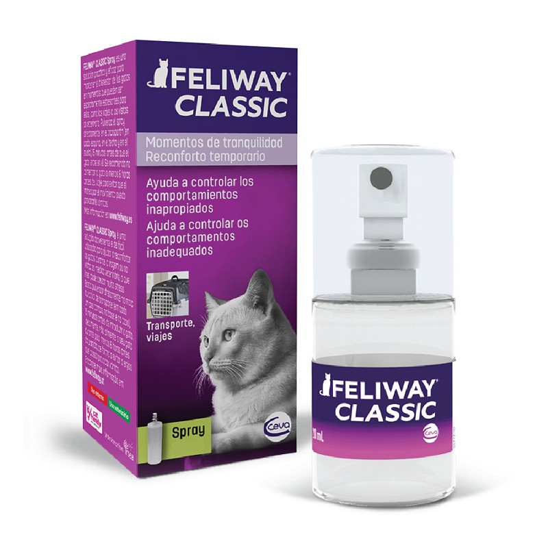  AGETITY Difusor de feromonas calmante para gatos, feromonas  calmantes para gatos para reducir el estrés, rociar y raspar, kit de  iniciación calmante 2 en 1 para gatos, 1 paquete : Productos para Animales