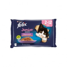 Felix Fantastic Junior en Gelatina