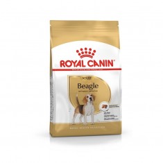 Royal Canin Beagle Adult