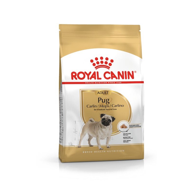 Royal Canin Pug Adult para Carlino Adulto