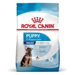 Royal Canin Puppy Maxi para cachorros de raza grande