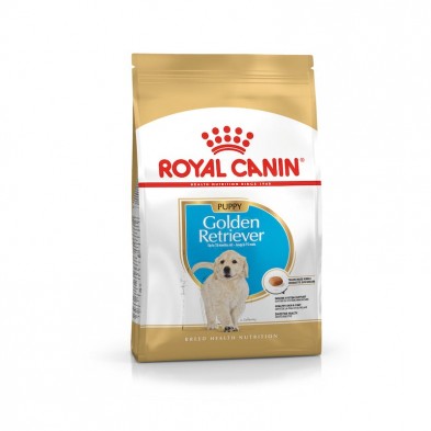 Royal Canin Golden Retriever Puppy Cachorros