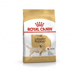 Royal Canin Labrador Retriever Adult Perros