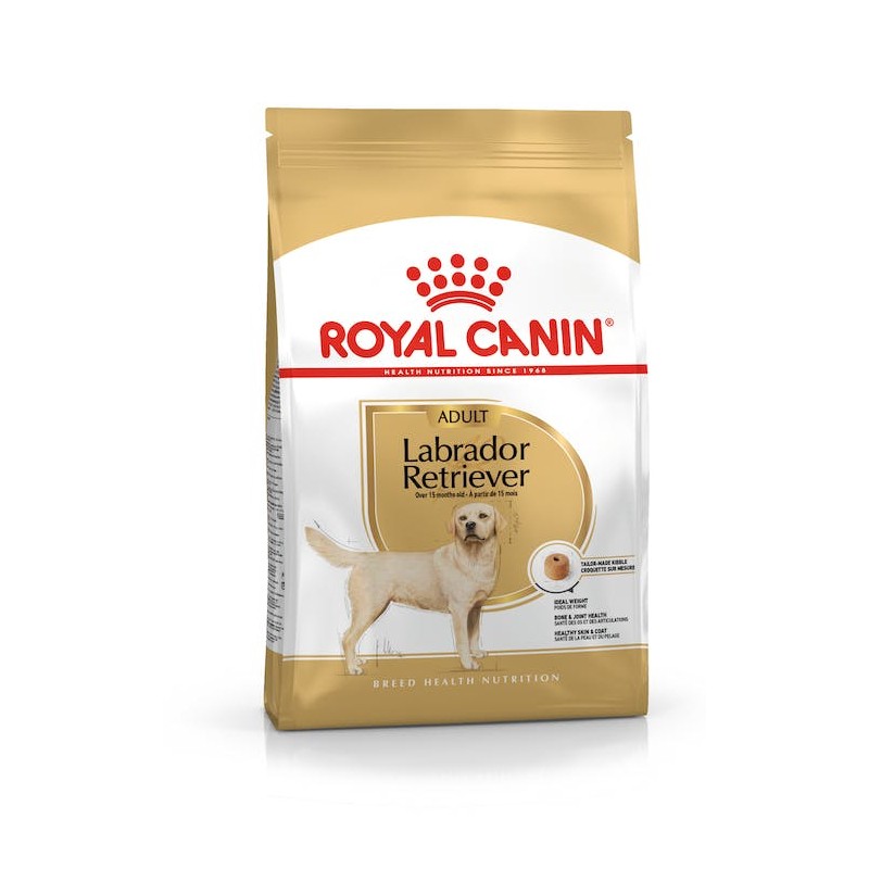 Royal Canin Labrador Retriever Adult Perros