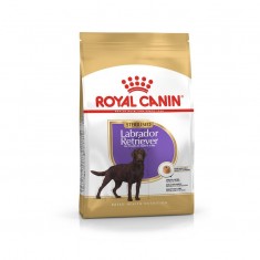 Royal Canin Labrador Retriever Sterilised Perros