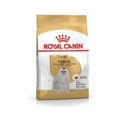 Royal Canin Maltese Adult