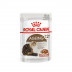 Royal Canin Feline Ageing 12+ Gravy