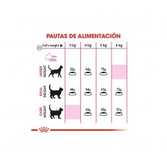 Royal Canin Aroma Exigent para Gatos