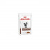 Royal Canin Veterinary Feline Gastrointestinal en Salsa