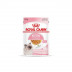 Royal Canin Kitten Chunks in Jelly Gatitos