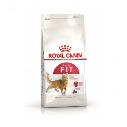 Royal Canin Regular Fit 32 para gatos