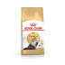 Royal Canin Persian Adult