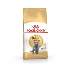 Royal Canin British Shorthair Adult