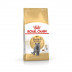 Royal Canin British Shorthair Adult