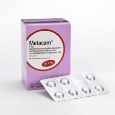 Metacam Perros Antiinflamatorios