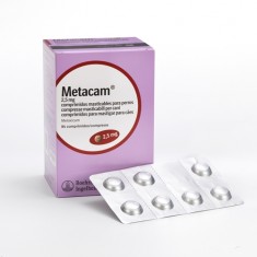 Metacam Perros Antiinflamatorios