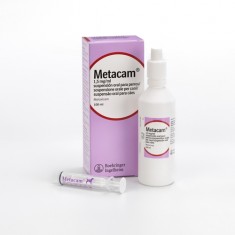 Metacam Perros Antiinflamatorios