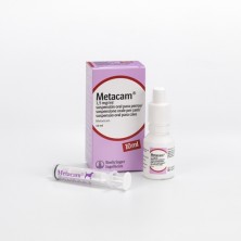 Metacam Perros Antiinflamatorios