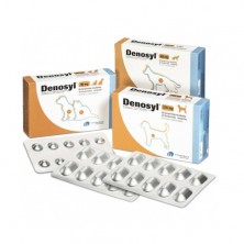Denosyl disfunción hepática