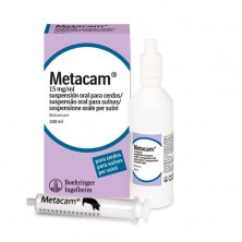 Metacam cerdos Antiinflamatorio oral