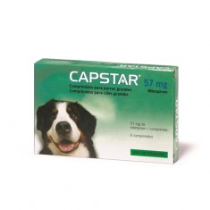 Capstar antiparasitario externo para perros y gatos