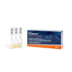 Clevor