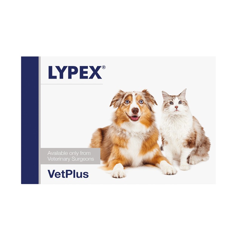 Lypex protector pancreático para perros y gatos