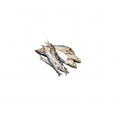 Sardinas enteras deshidratadas 60 gr