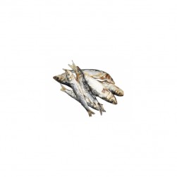Sardinas Enteras Deshidratadas