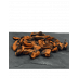 Mejillones Deshidratados