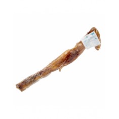 Aorta de Ternera Deshidratada 20-25 cm