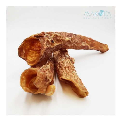 Aorta de Ternera Deshidratada 8-10 cm