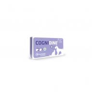 Cognidine neuroprotección para perros y gatos