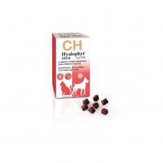 Hyalophyt Soft Pills condroprotector
