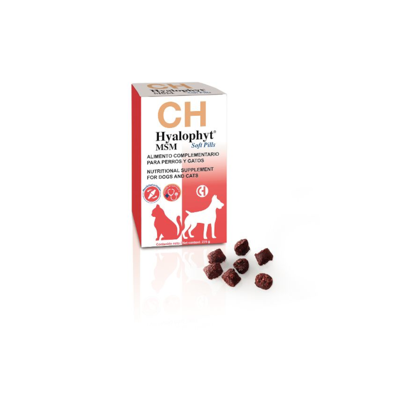 Hyalophyt Soft Pills condroprotector