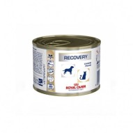 COMIDA HÚMEDA DE GATO