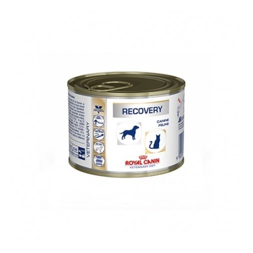 COMIDA HÚMEDA DE GATO