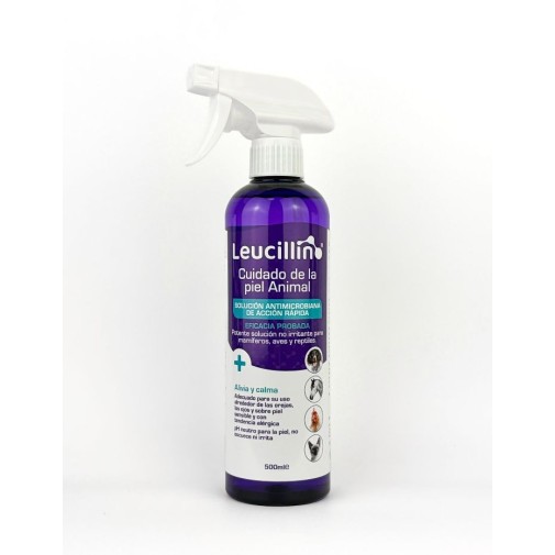 Leucillin - Desinfectante y Antiséptico para el cuidado animales