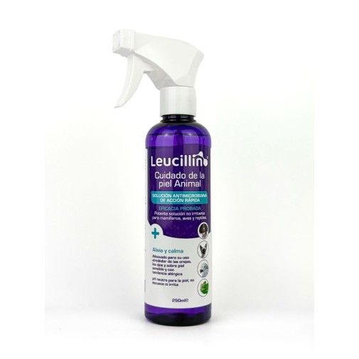Leucillin - Desinfectante y Antiséptico para el cuidado animales