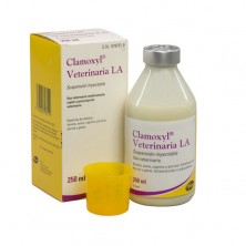 Clamoxyl veterinaria antibiótico